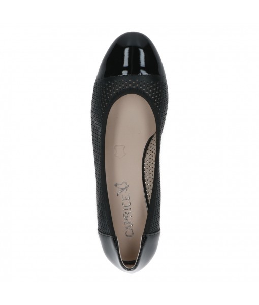 Caprice 22504-Black comb