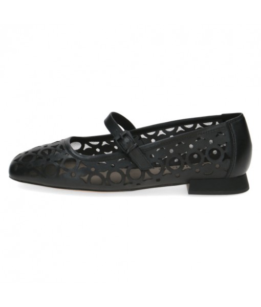 Caprice 22511-Black comb