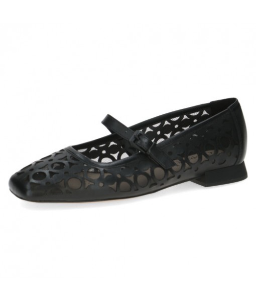 Caprice 22511-Black comb