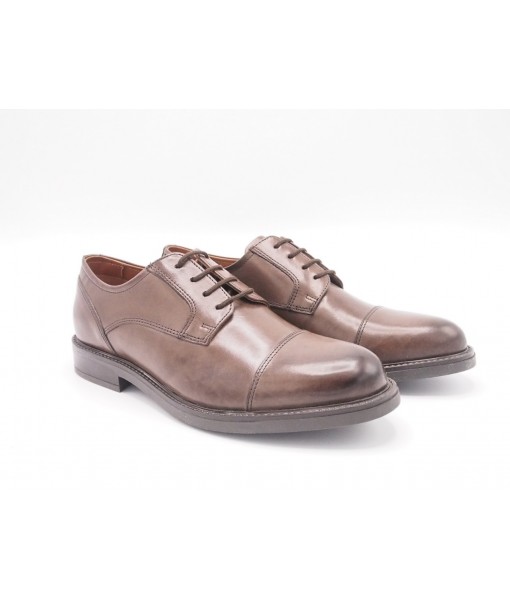 Parrotto MS65R05-DK.Brown