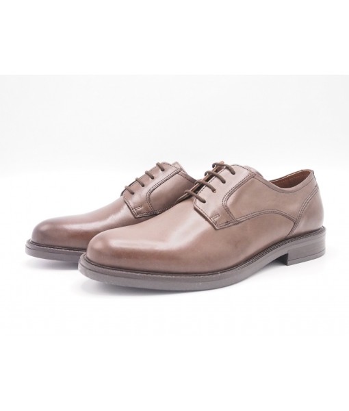 Parrotto MS65R08-DK.Brown