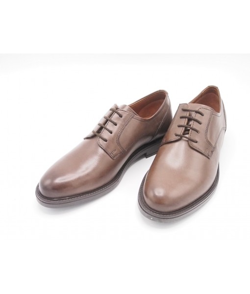Parrotto MS65R08-DK.Brown